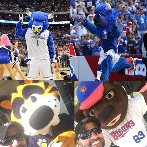 Spotlight on the Nilly Buffalo Mascot: Behind the Mask of the Beloved Character